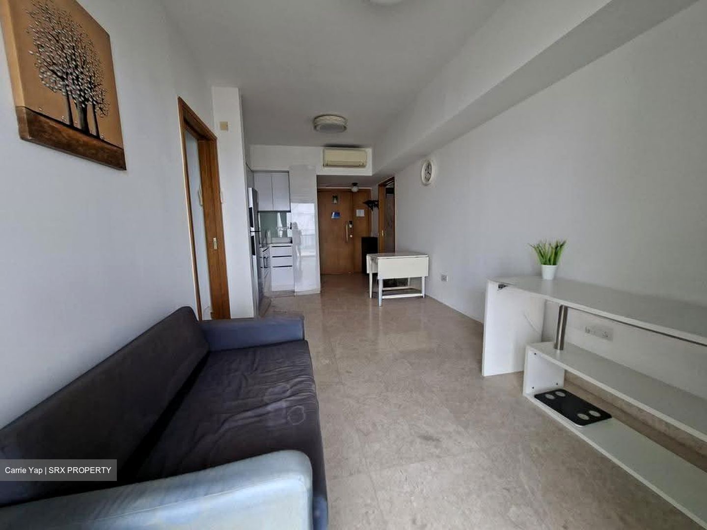 Eight Riversuites (D12), Condominium #635978901